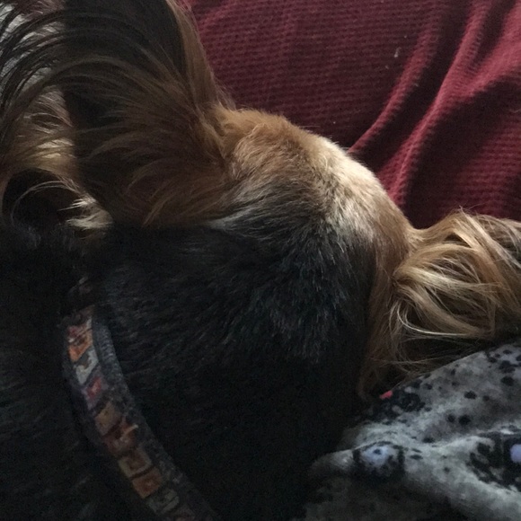 Meet your Posher, Kimberly - Picture 1 of 1